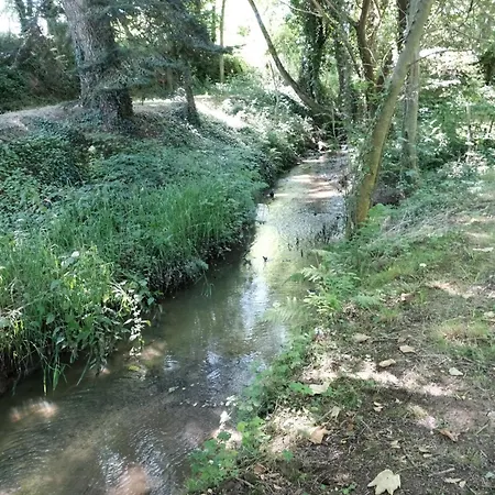 Le Petit Etang Tatil Evi *